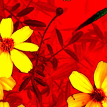 ip攻击器网页版ddos