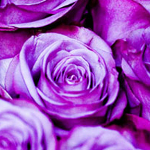 正版软件授权的Web漏洞扫描工具